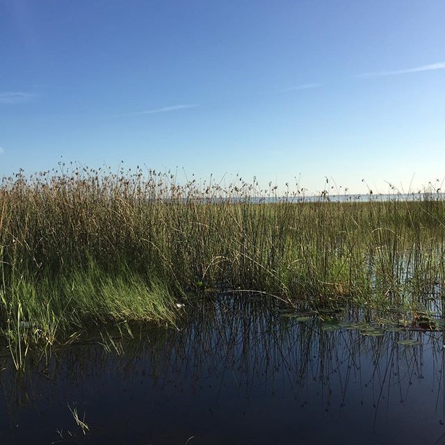 positiveosceola's tweet photo. Another gorgeous summer day in Osceola County... make it count and enjoy the day! #positivelyosceola💚 #osceolacounty #stcloudflorida #summertime #gratitude #makeitcount @cityofstcloudfl @local.government https://t.co/QVnKKJSZnb https://t.co/QASnpF45jM