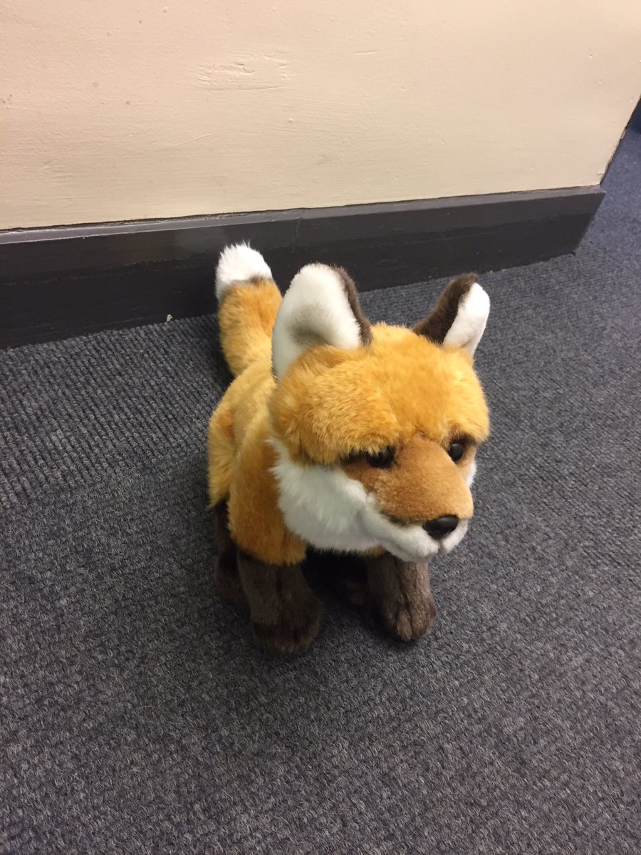 DUFoundationFox's tweet image. I&apos;m back! Looking forward to meeting more of my extended #FoundationFamily and new #DCAD friends! @du_foundation @DU_FPForum