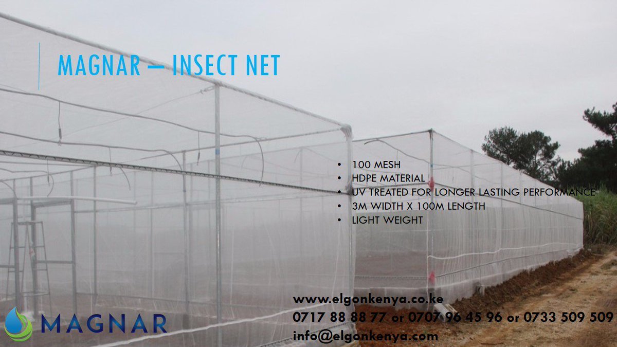 ElgonKenyaLtd's tweet image. Every farmer wants healthy and disease free crops. With Insect net, it will protect your crops against pests and other diseases in the greenhouse and provide maximum airflow which is essential for your crops’ growth. 
#Insectnet

bit.ly/2v4P8Hy