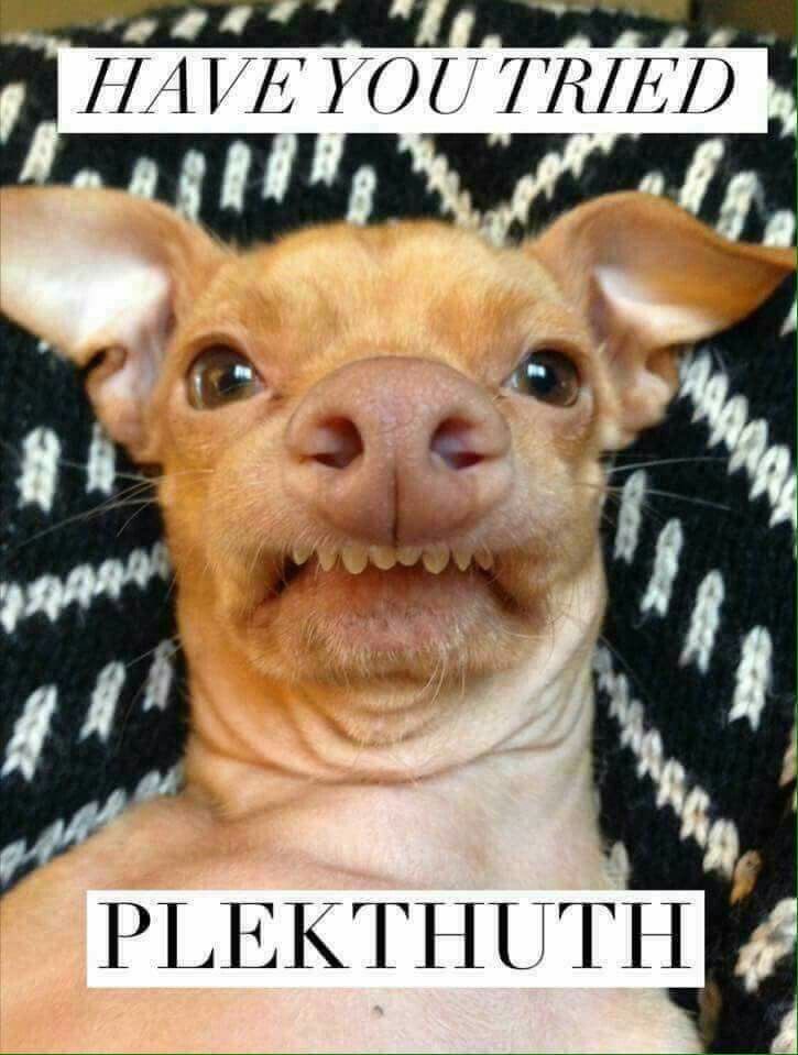 Mcclellan1108's tweet image. #plexusmama #bosslady #dentalwork #guthealth