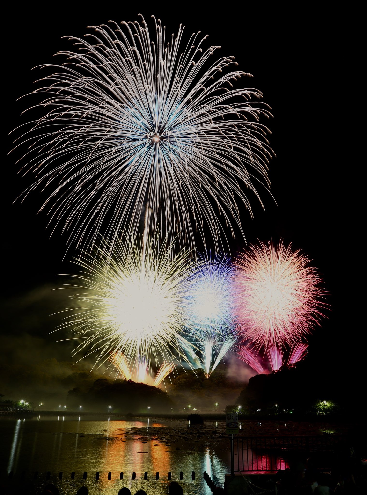 Yabu 本日は蓮華寺池公園の花火大会に行って来ました 今年は臼井煙火さんがグラデーションをここで多用していて驚きました 藤枝花火大会 蓮華寺池公園 T Co Zgvszlujds Twitter