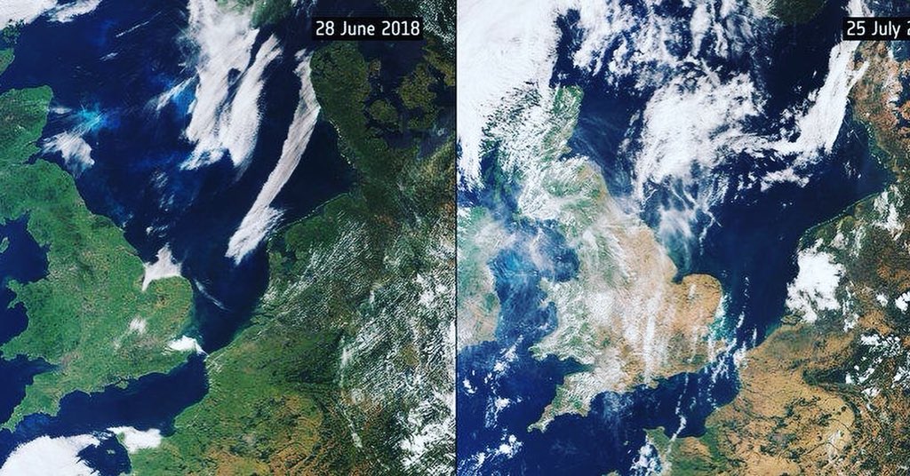 Poseidon_Eco's tweet image. Still not sure whether #climatechange impacts you? Have a look at how the #heatwave has turned green vegetation into brown in just one month!!! We either act today or there will be no tomorrow. Join us and help us protect our environment. #actnow #ClimateAction #blockchain