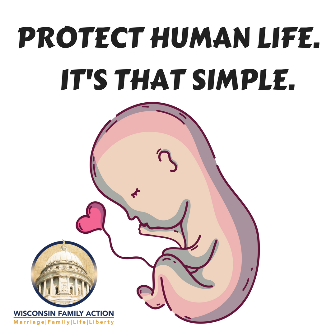 WIFamilyAction's tweet photo. Who gets the embryos? Whoever wants to make them into babies, new law says. WFA, "Frozen human embryos are fully human. The presumption must always be to protect human life. " https://t.co/7kVfFThITC #AllLifeIsValuable #ProLife https://t.co/kfh9fesSaf