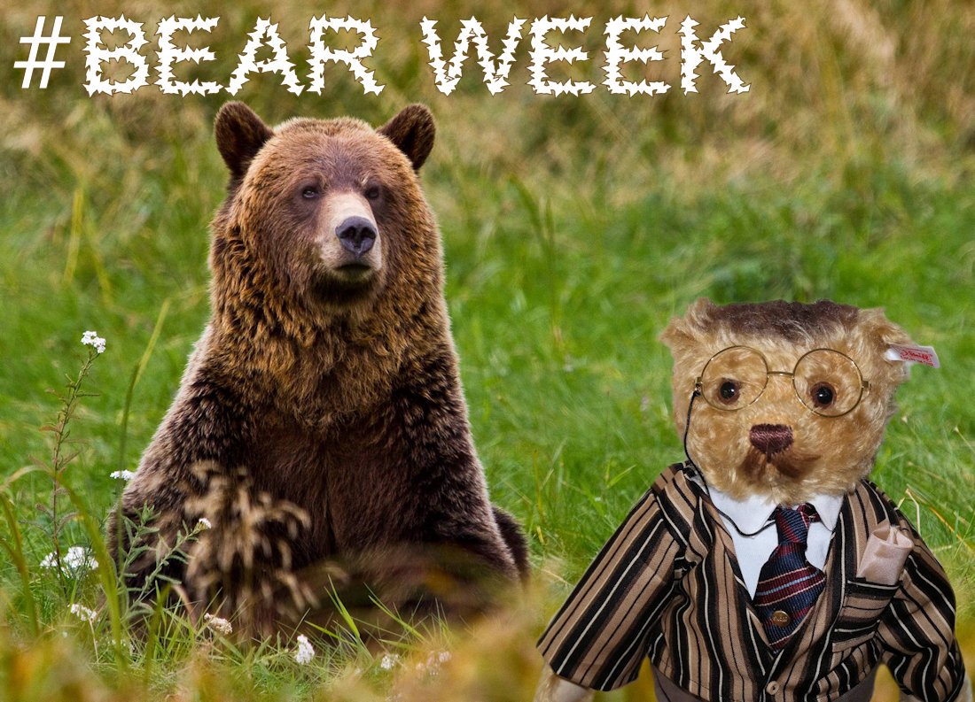 It's #bearweek chaps - please join in by following the tag, chatting and sharing your story.
