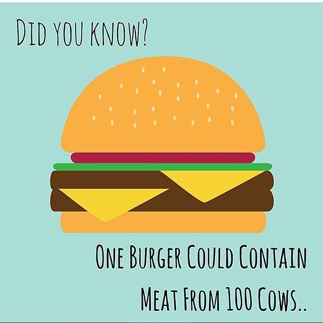 NatMedicineTeam's tweet photo. #burger #junkfood #fastfood #cows #foodisfuel #eating #eatingclean #eatstagram #cleaneating #foodlove #foodporn#foodstagram #eathealthy #eatwell #eatright #instalove #goodeats #instafood #eatinghealthy #eatgood #eattherainbow #eatrealfood https://t.co/z6RGDYv0rl