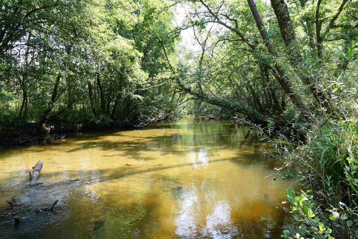 Gironde (@gironde) on Twitter photo Réservez votre excursion sur le Ciron pour les samedis 8 et 22 septembre à Bernos-Beaulac en #Gironde. Gratuit sur réservation. Tout public, à partir de 10 ans. gironde.fr/actualites/au-… Réservez votre excursion sur le Ciron pour les samedis 8 et 22 septembre à Bernos-Beaulac en #Gironde. Gratuit sur réservation. Tout public, à partir de 10 ans. gironde.fr/actualites/au-…
