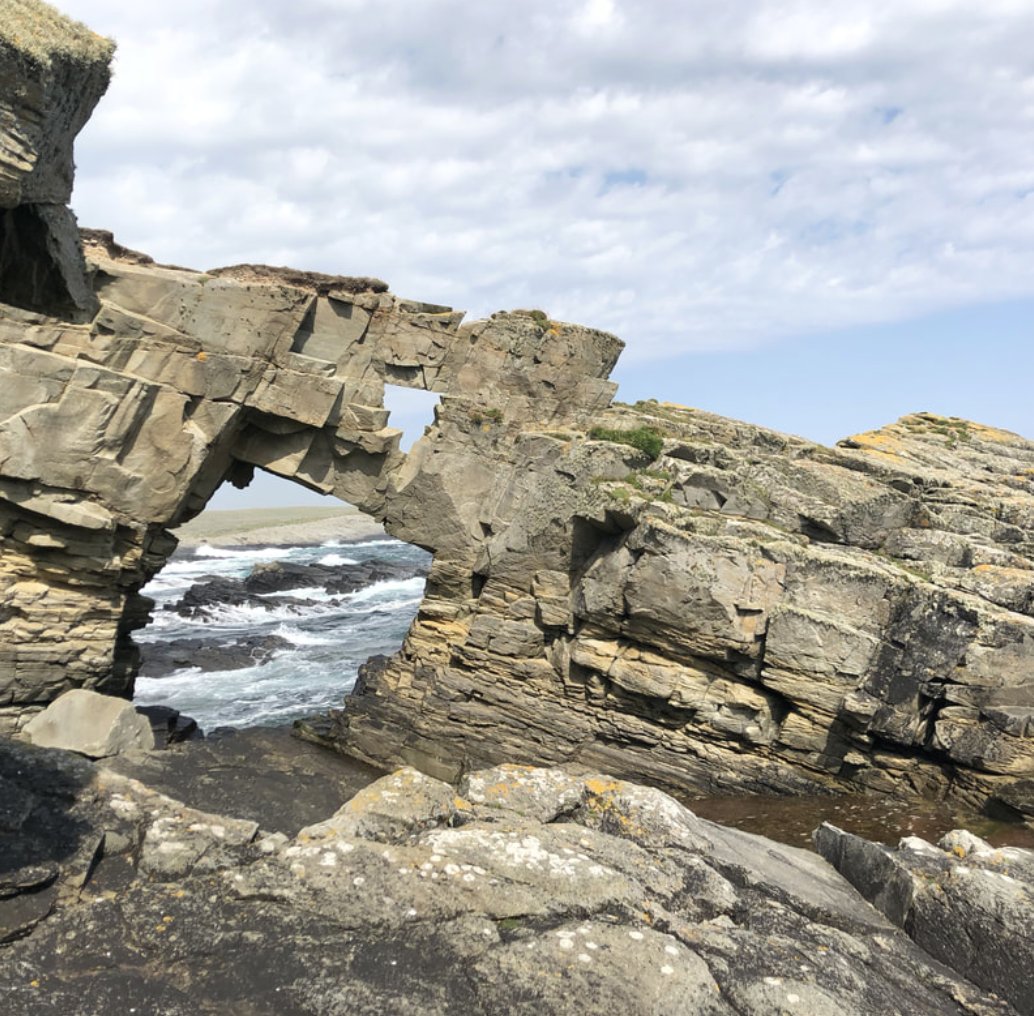 NatureFestival's tweet photo. 'A lowdown on the Shetland Nature Festival' - a fantastic blog post by Laurie Goodlad who attended the festival with her family - https://t.co/aJ2DQjUaLr https://t.co/9Vf2IA3UW4