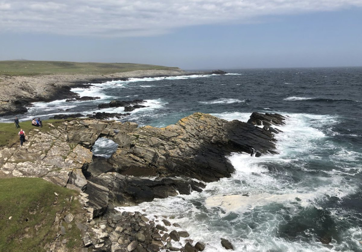 NatureFestival's tweet photo. 'A lowdown on the Shetland Nature Festival' - a fantastic blog post by Laurie Goodlad who attended the festival with her family - https://t.co/aJ2DQjUaLr https://t.co/9Vf2IA3UW4