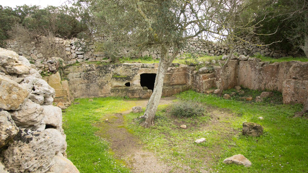 nurarq's tweet photo. #felizmartes! el #horario de hoy de #Torralba d'en Salort es de 9 de la mañana a 8 de la tarde...#Visitad esta gran poblado #talayótico de #Menorca!#menorcatalayótica #cultura #nurarq #arqueología #tauladetorralba #Nurarq #visitmenorca #turismocultural #arqueoturismo #hipogeo https://t.co/E0xCmmtBpb