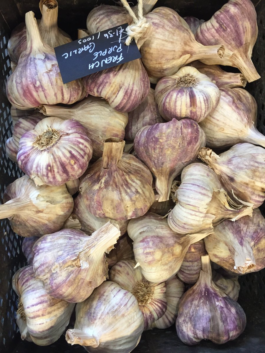 herbiedinburgh's tweet photo. Garlic is back. In very short supply though. Grab it while you can! https://t.co/1ckvq1ygHa