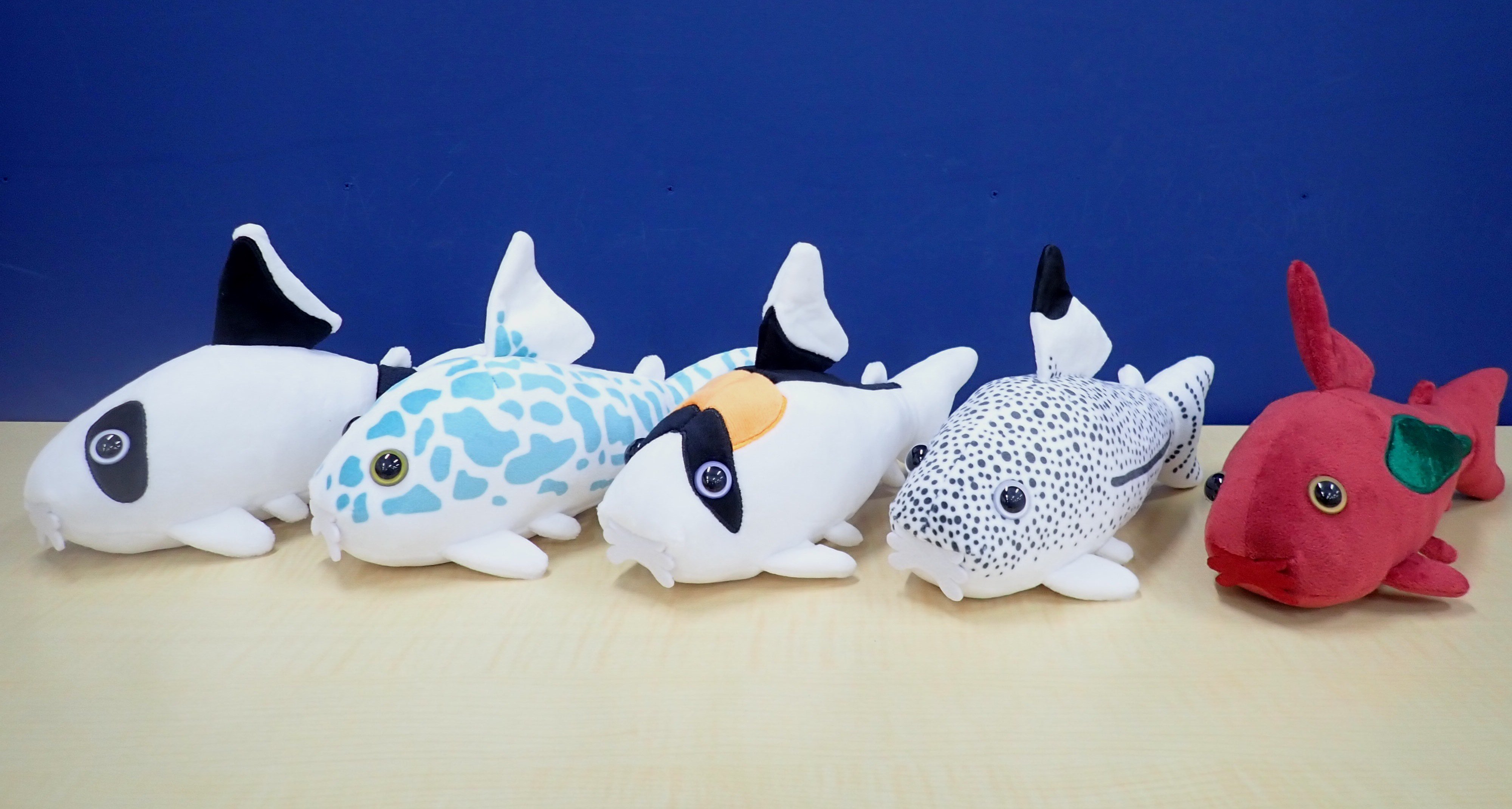 【レア】 コリドラス BIG ぬいぐるみ キョーリン 魚 懸賞 当選品 非売品 レア】 コリドラス BIG ぬいぐるみ キョーリン 魚 懸賞 当選品 非売品