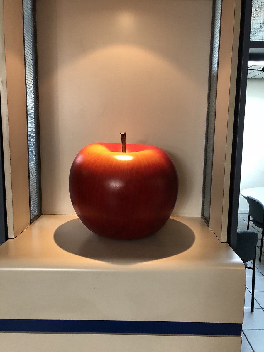 𝔽𝕖𝕝𝕚𝕩 𝕄𝕠𝕣𝕚𝕥𝕫 tweet media