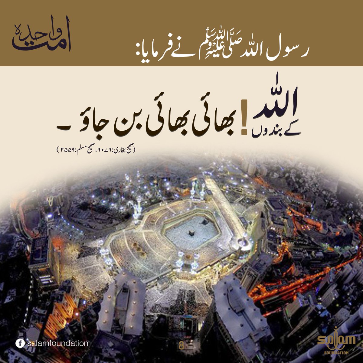 SalamOfficial92's tweet photo. #Unity #Muslim_Ummah #Salamfoundation #Education #Muslim_Brotherhood #Islamic_Quotes #Hadith_e_Rasool #Ummat_e_Wahida #EducationalAwareness #IslamicSchools #Books #NonProfitOrganization #NGO https://t.co/iQmet2Yfwp