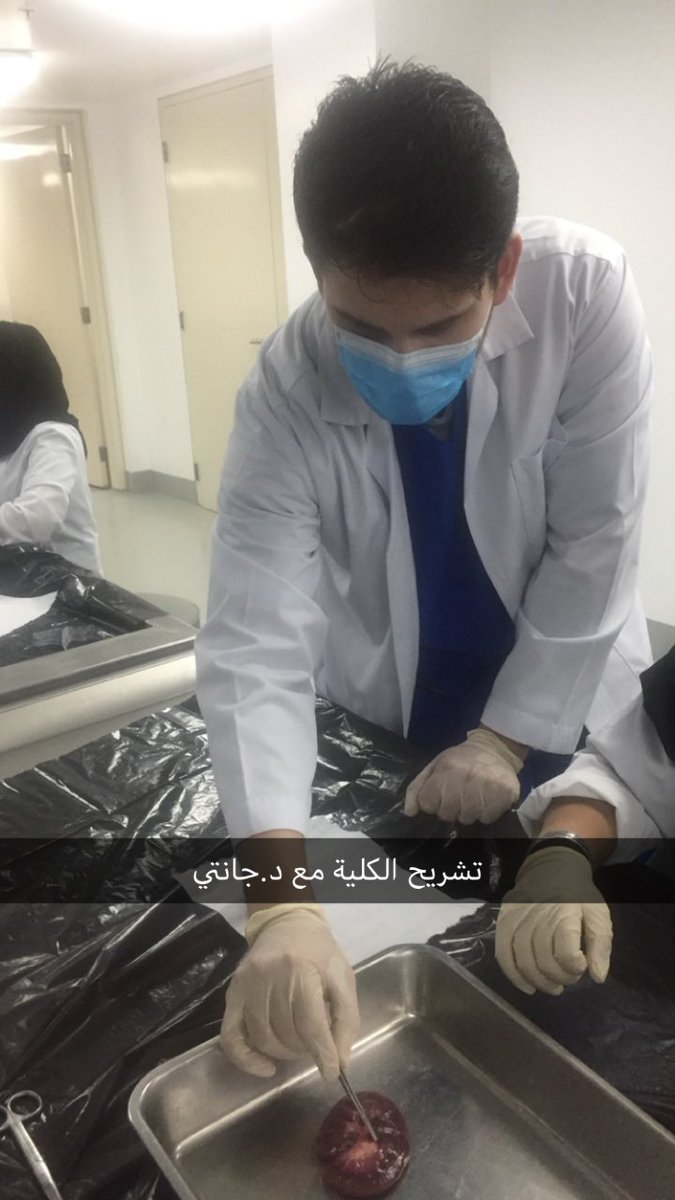mawhibaprogram's tweet photo. الدكاترة يشرحون للطالبات كيفية تشريح الكلية
#برنامج_موهبة_بجامعة_الفيصل 
#برامج_موهبة_الإثرائية https://t.co/5ubSMjzyDe