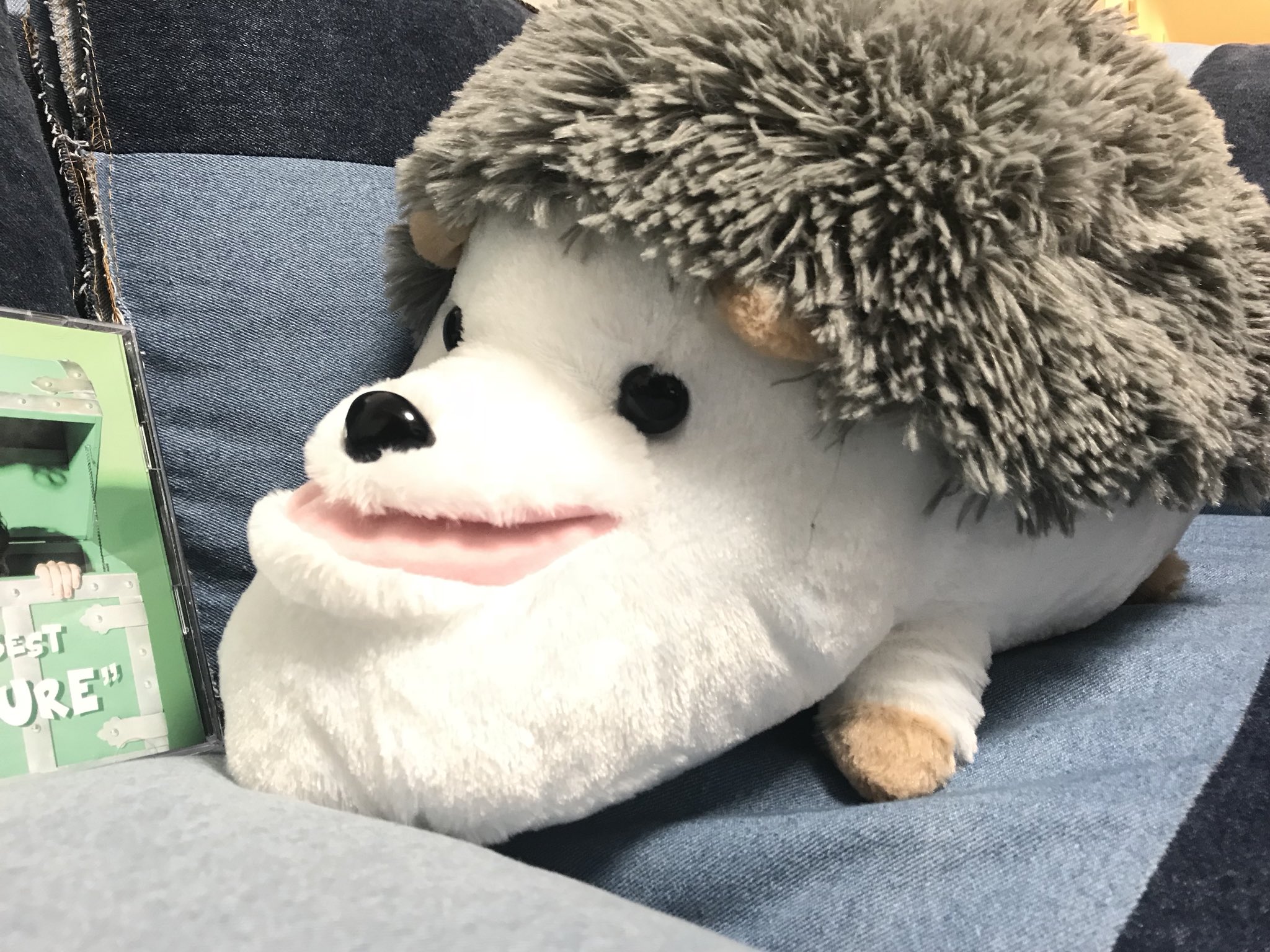 歌い手 Gero ぬいぐるみ　バラ売り可能 歌い手 Gero ぬいぐるみ バラ売り可能 - メルカリ