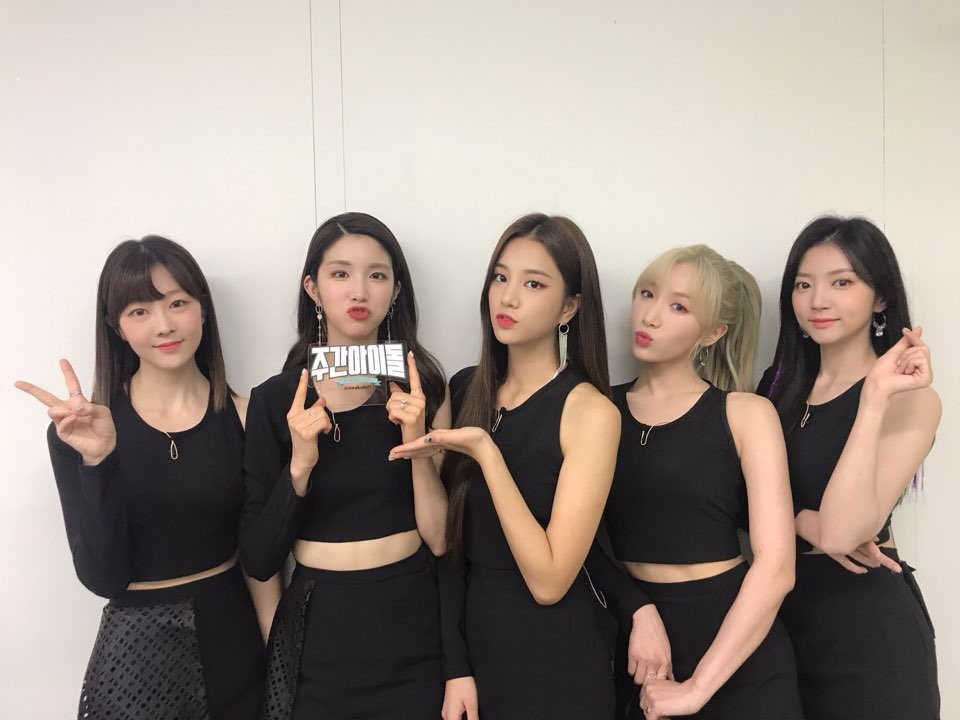 weekidol1's tweet photo. #주간아이돌 @weekidol1

#금주의아이돌
♡국가대표 P.R.O 행사돌 특집♡
�� 행사 정말 절경이네요~ 장관이고요👍
(+혼자 온 택운 님의 열일 핫바디)

8/8 수요일 오후 6시
웰컴 주간아 서머 행사장!

#빅스 #레오 #라붐 #솔빈 #해인 #유정 #소연 #지엔 #여자친구 #소원 #예린 #은하 #유주 #신비 #엄지 https://t.co/wpazdjil1Q