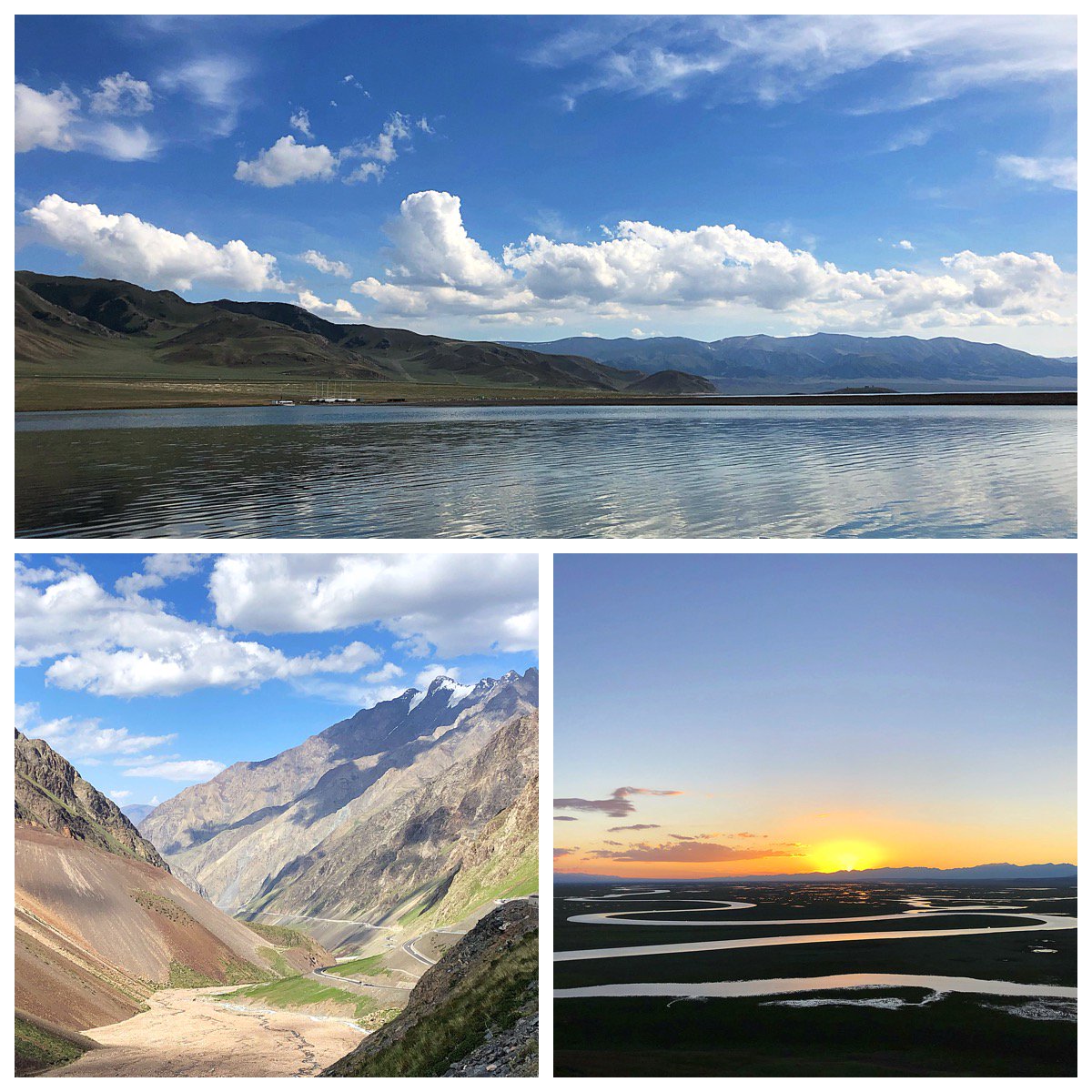 Qingqing Ouyang tweet media