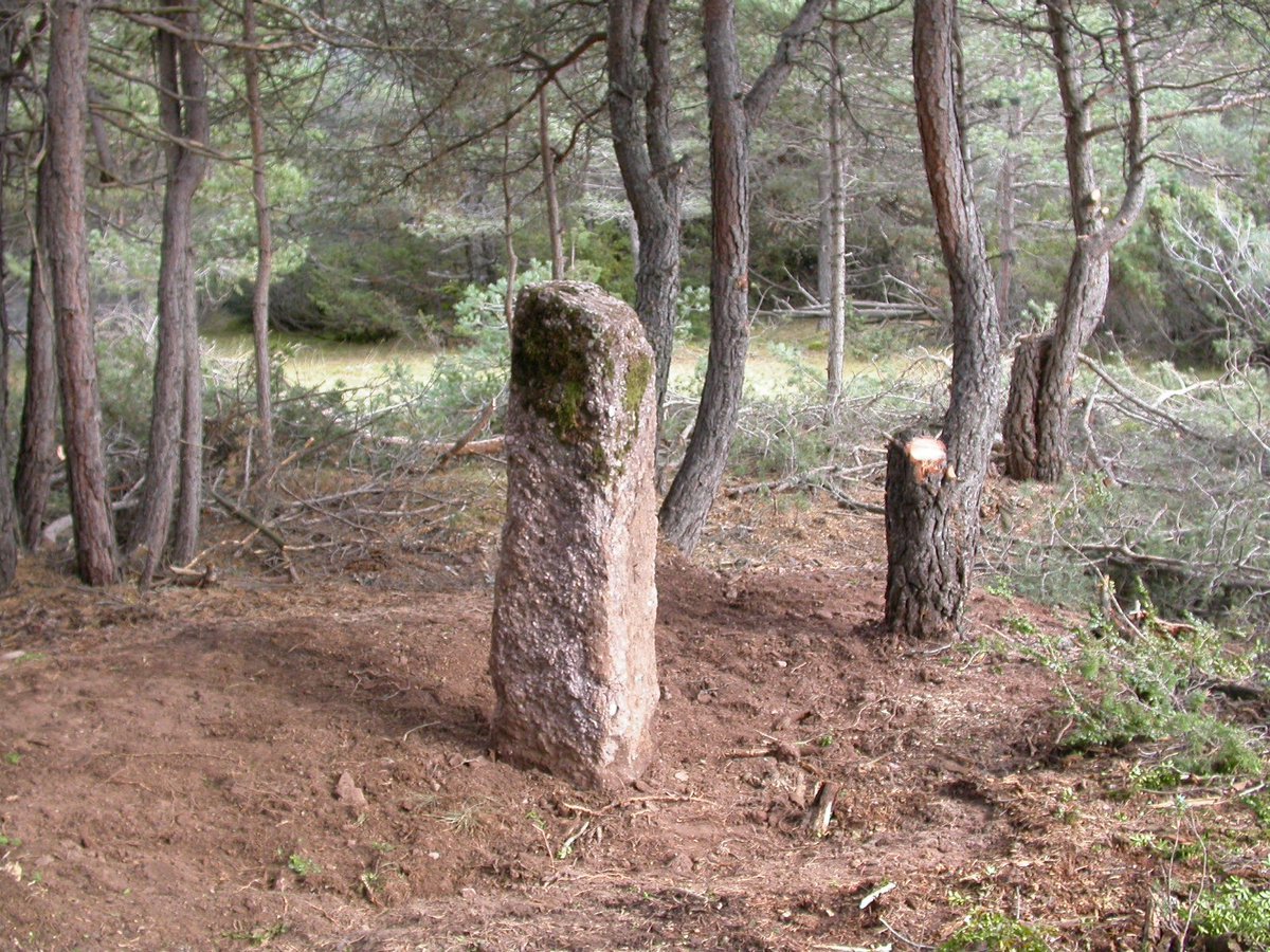 El patrimoni del Port del Cantó, a la propera sortida del cicle “Els dimecres coneixem l’#AltUrgell”. Durant l'excursió es visitaran cabaneres, menhirs i restes de castells. bit.ly/2AOod8f <a href="/alturgelltur/">Turisme Alt Urgell</a> <a href="/ccalturgell/">Consell Comarcal de l'Alt Urgell</a>