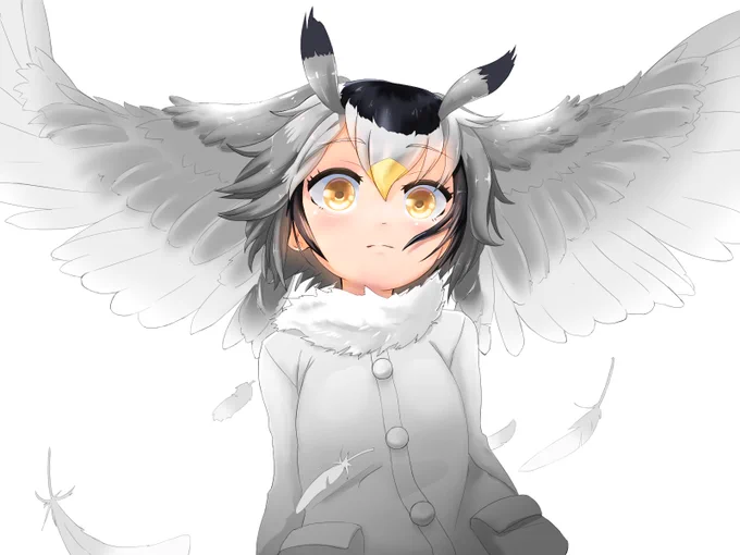 はかせ #けものフレンズ #アフリカオオコノハズク 