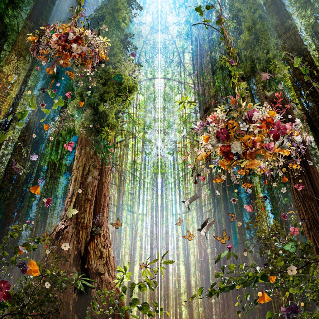 ramblingsloa's tweet image. Don’t stress about the future
It hasn’t arrived.
Live in the present 
And make it beautiful.

Pic Ysabel LeMay