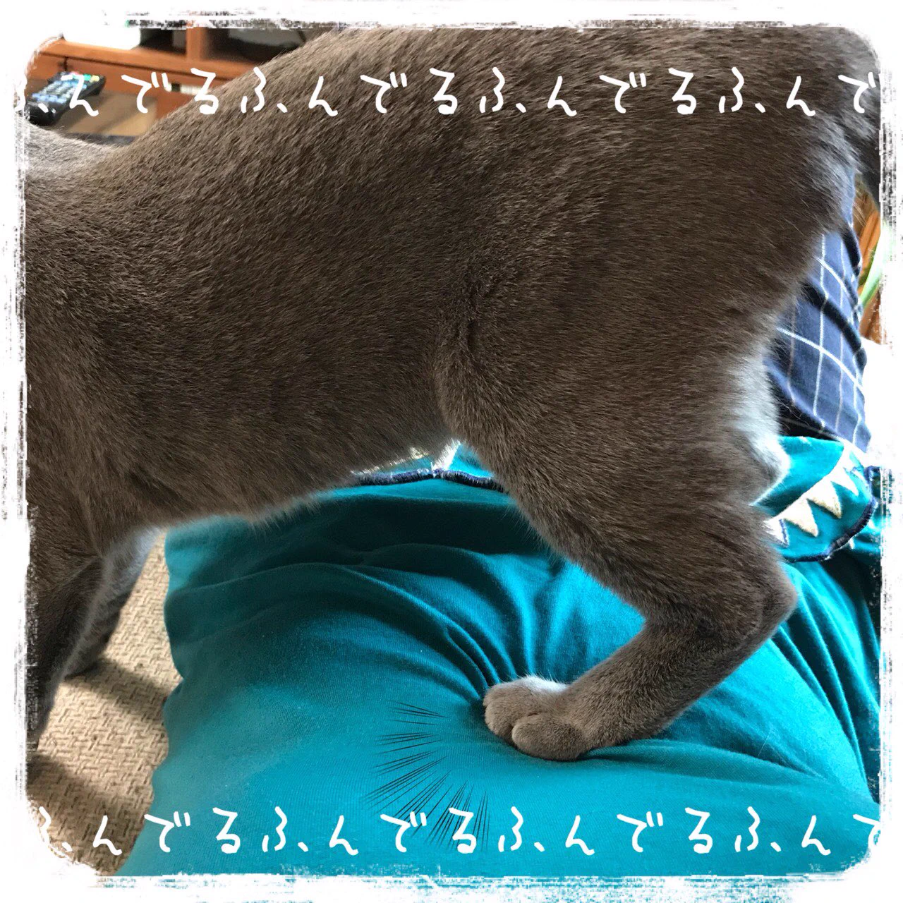 なにこのクオリティwwアイシングクッキーってこんなのも作れるのね