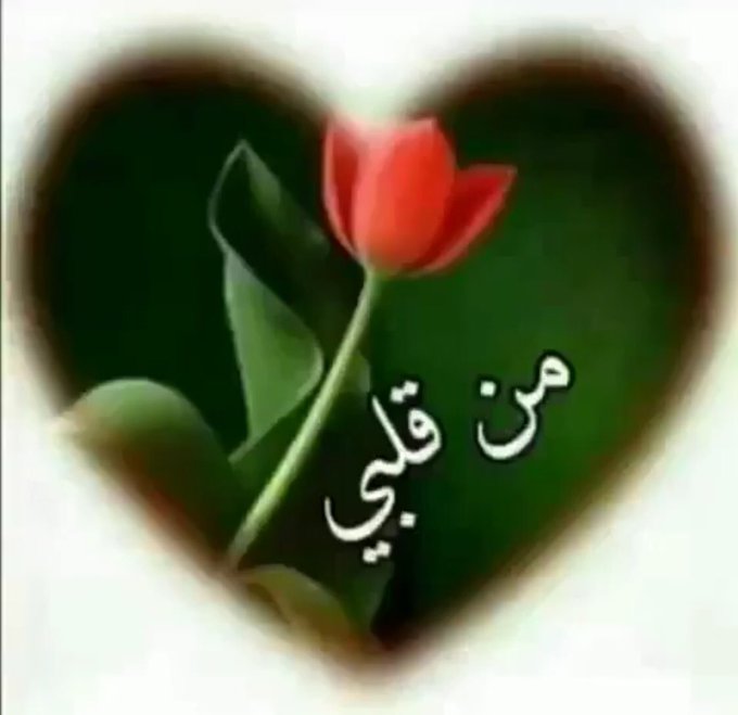 الإهتمــام : هــو عبــارة عــن شخــص يـريـدك أن تـدوم معــاه 🍃💚 https://t.co/N6C6gJwVEU