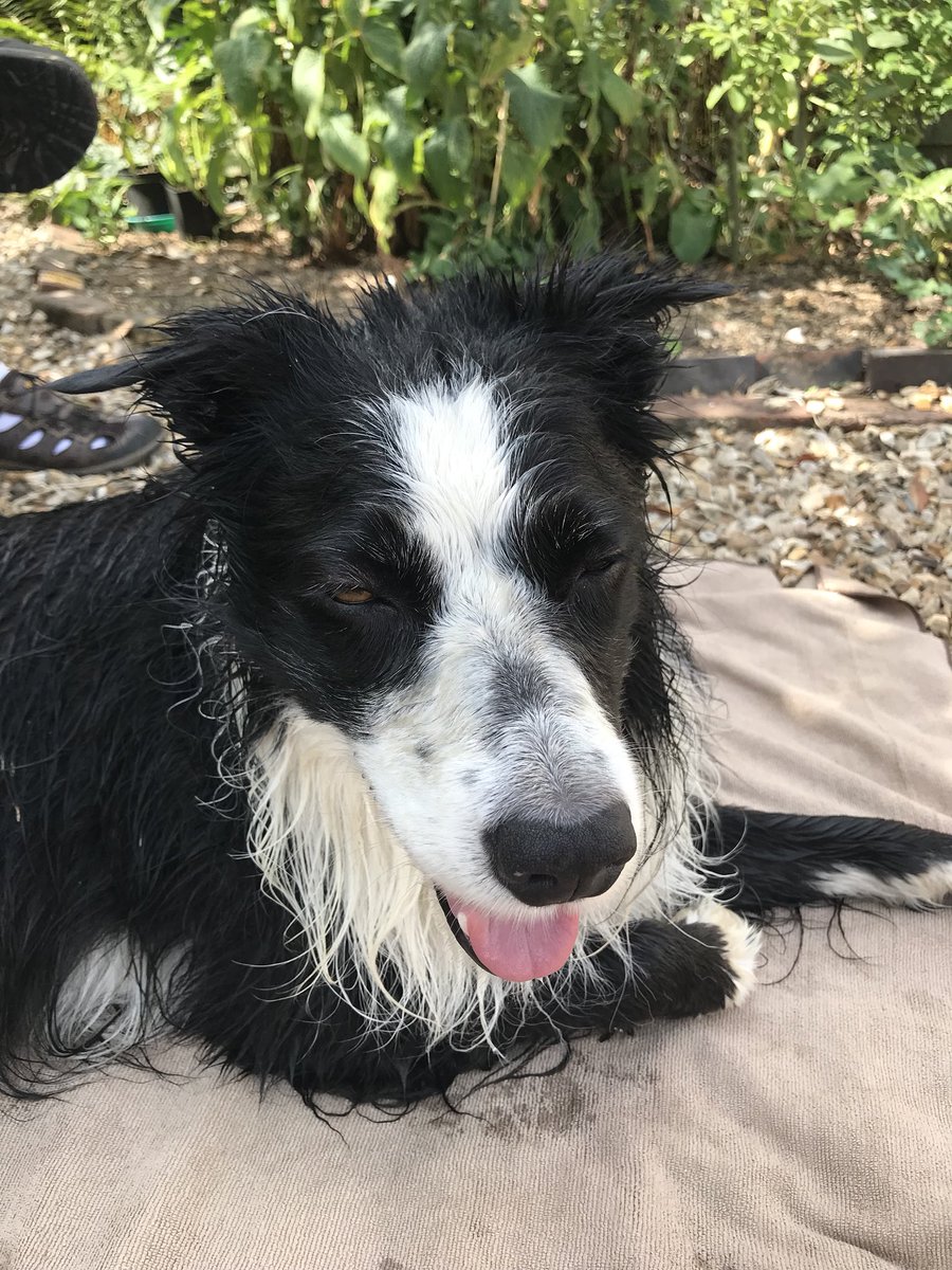 Mrs_B_Reading's tweet photo. We had a water fight. I won #cleaningcanbefun #water #summerfun https://t.co/WDbXeXaGSq