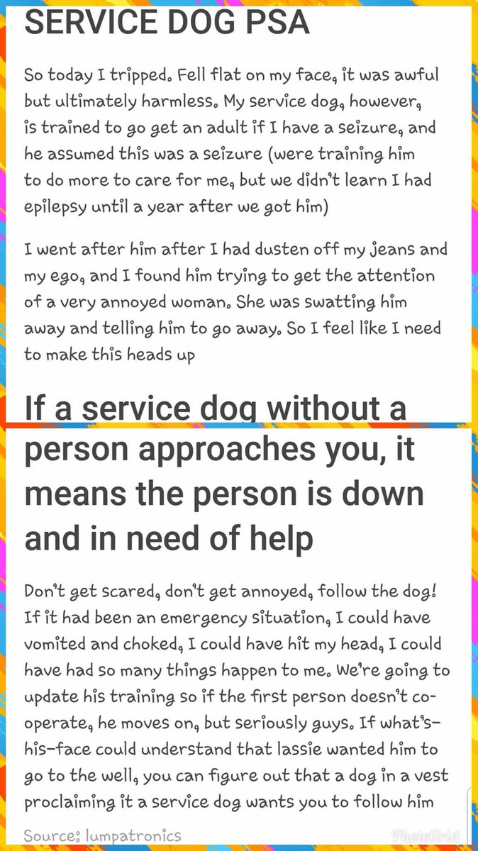 Logistics_Chick's tweet image. A good read for those out in public often. The point of the PSA - If a service dog with a vest comes to you without their person, find their person! The dog chose you to help.