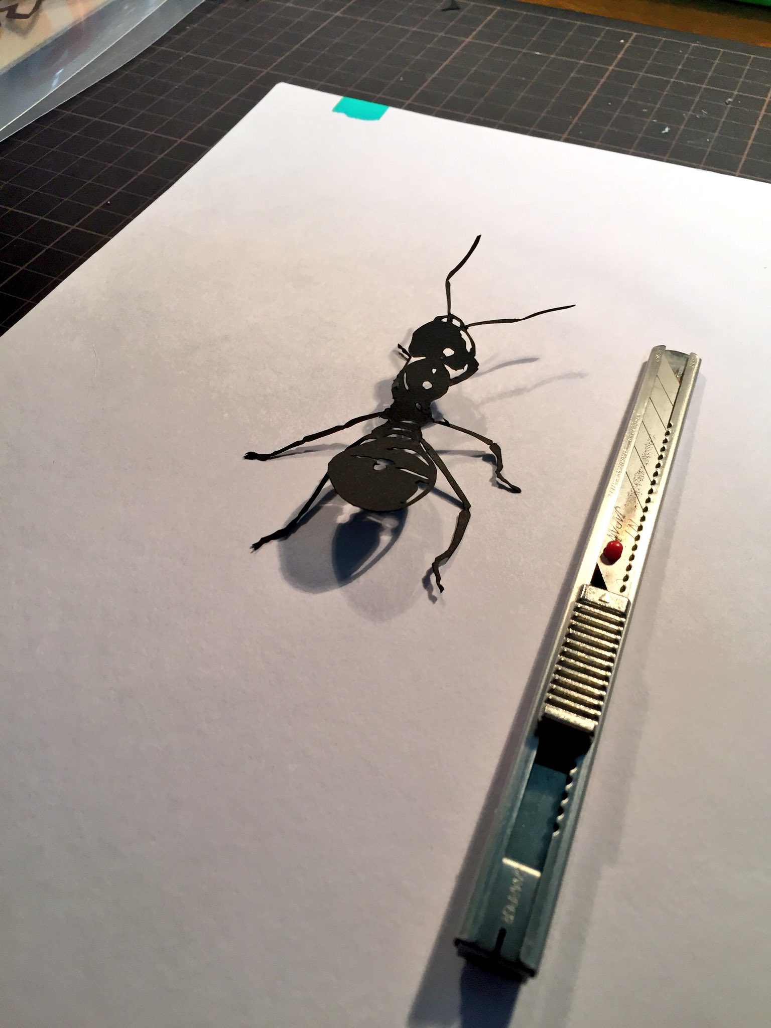 切り絵作家 草太 今日の切り絵 紙のアリ 虫が苦手な人すみませんごめんなさい紙です フリーハンド切り絵 蟻 T Co Jrgwce3nhe Twitter