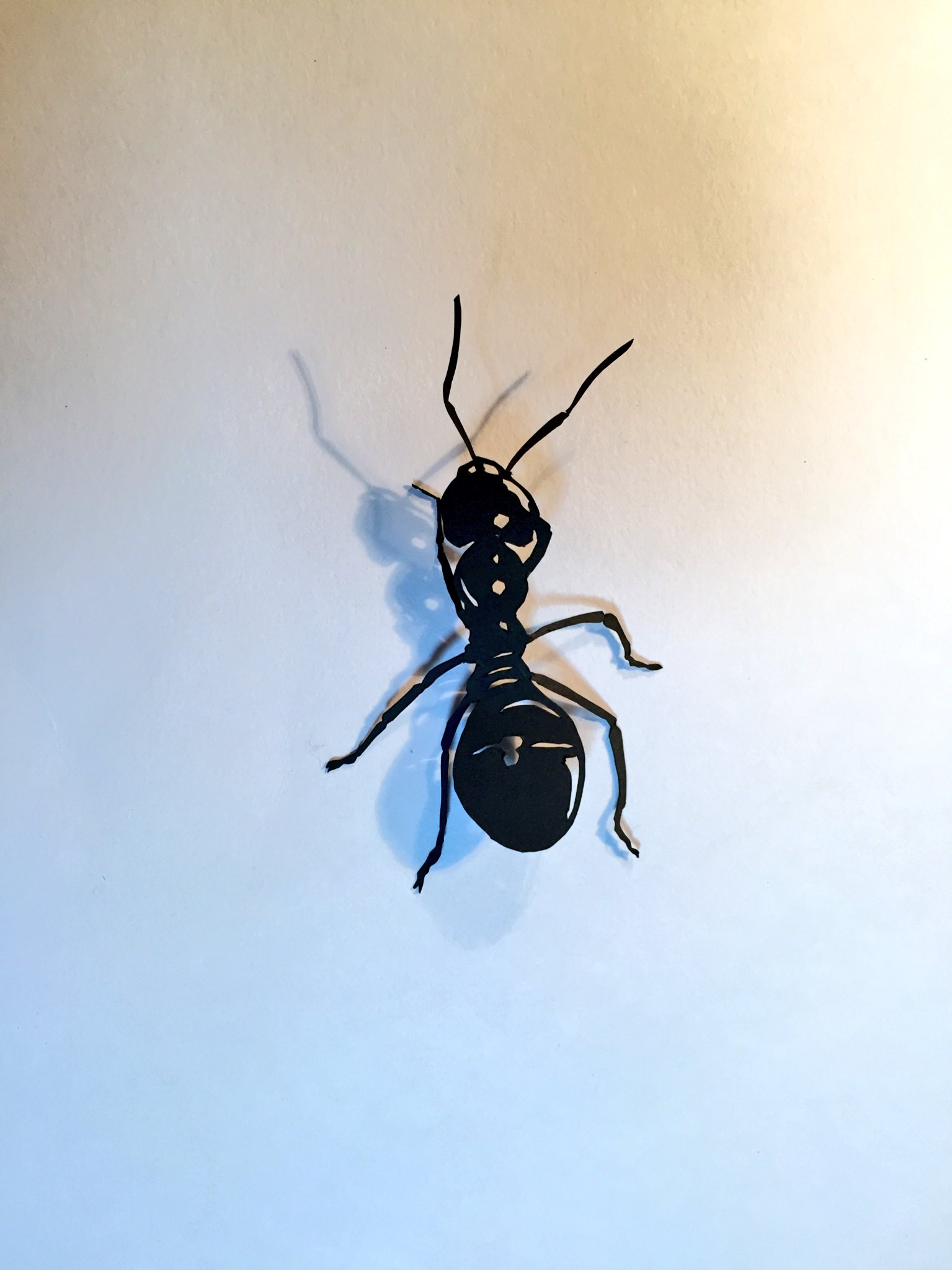 切り絵作家 草太 今日の切り絵 紙のアリ 虫が苦手な人すみませんごめんなさい紙です フリーハンド切り絵 蟻 T Co Jrgwce3nhe Twitter