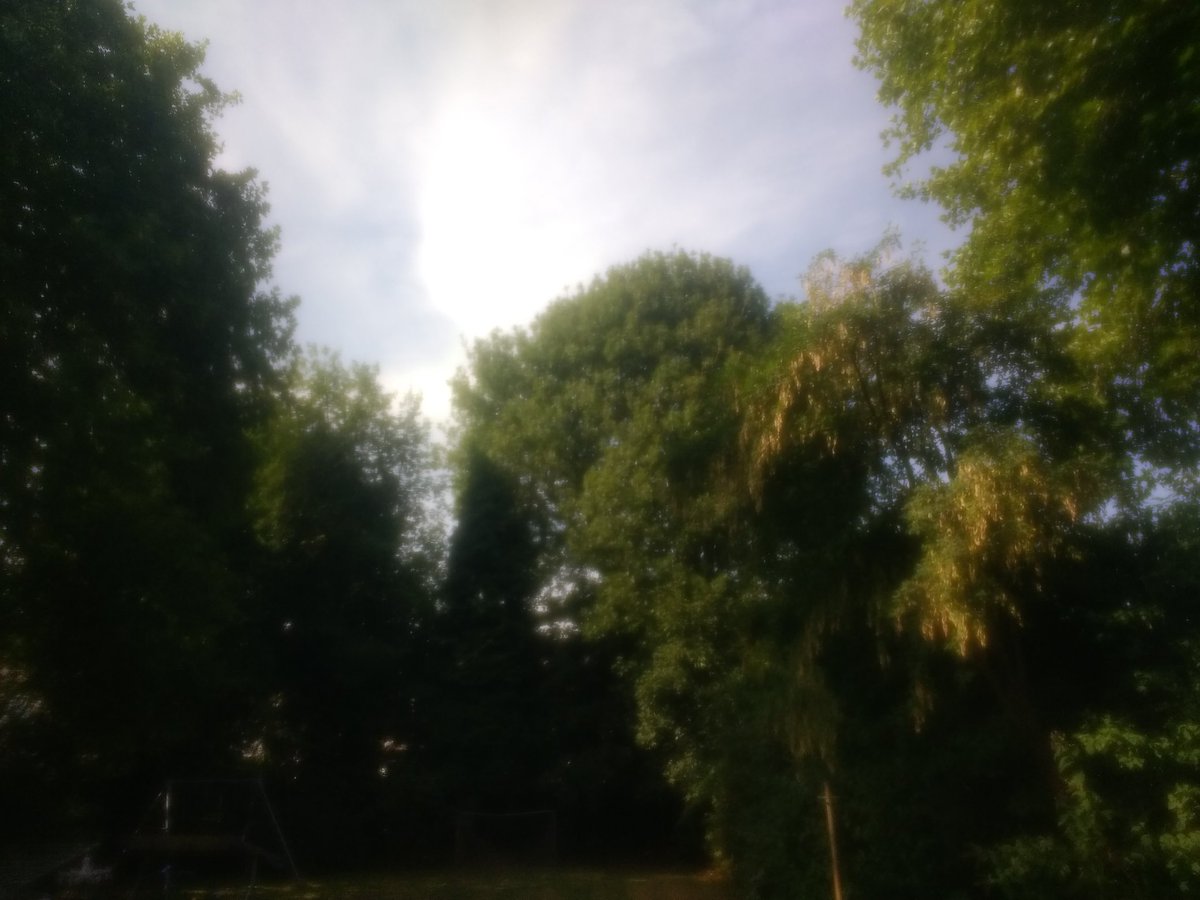 thevicarswife's tweet photo. The tree surgeons are in the Vicarage garden today. By the end of the week our neighbours will have light in their front rooms!
Their first cut made a massive difference.
#bringingthelight https://t.co/cHmf2u0FyE