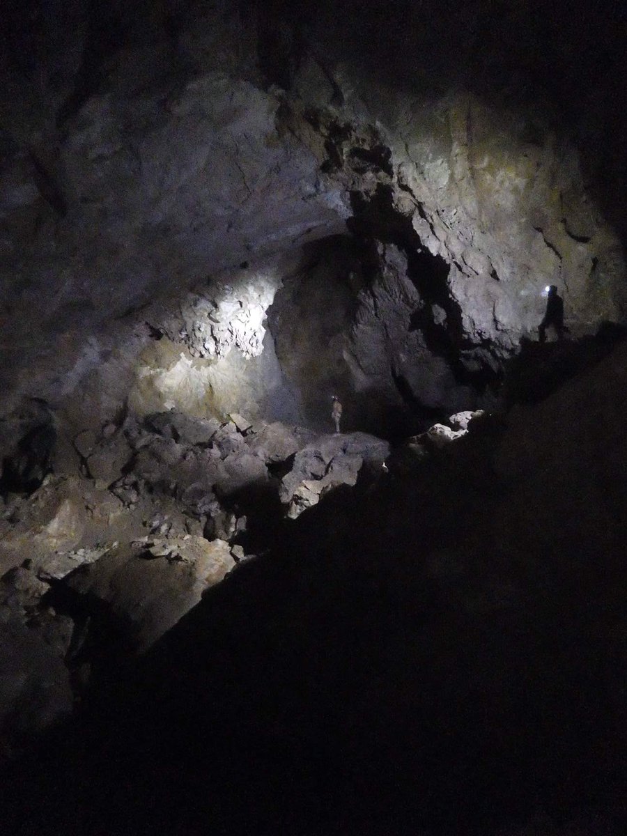 CUCC_Expo's tweet photo. #Life in the subterrain. A tiny sampling has been found, 720m below the #mountain, growing without sunlight in a mud bank. The seed must have been washed in during an #Alpine storm and grows beside a starless river. #lifepreserves #uninhabitable #amazing https://t.co/mZDzLpCNBy