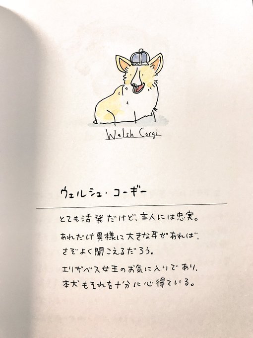 面白いよ 高画質 のtwitterイラスト検索結果 古い順