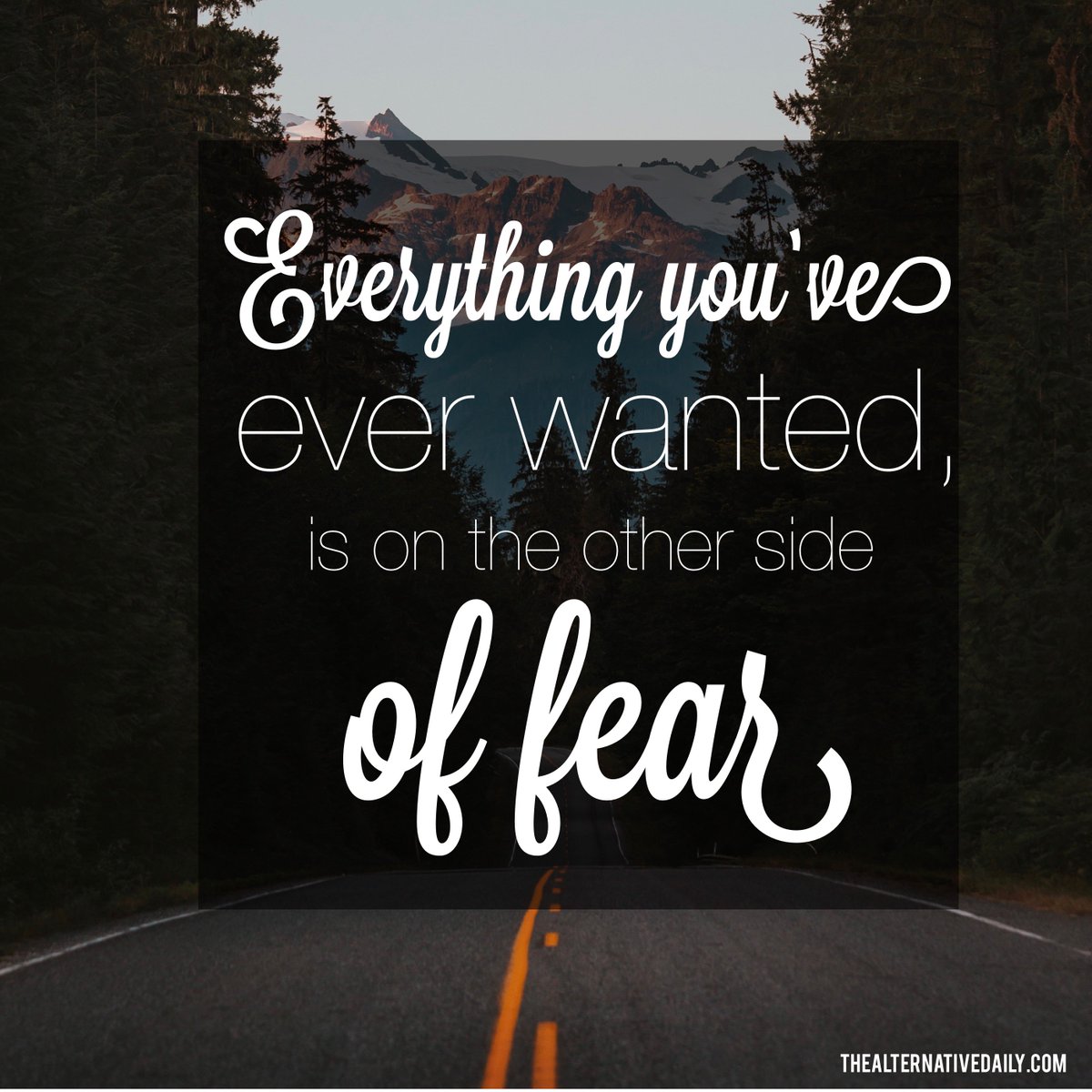 Everything you've ever wanted is on the other side of fear.