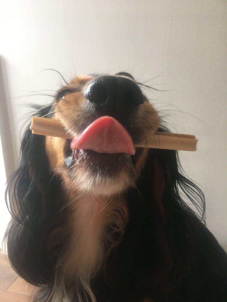 MiroMakauri's tweet photo. tongue out tuesday, heres hope, not only holding one of our new star sticks in the veggie snack range, but shes also poking her tongue out too...
#TongueOutTuesday https://t.co/4WCWejKM0e