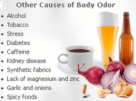 NgFundme's tweet photo. Body odor is caused by bacteria breaking down sweat &amp; is largely linked to the apocrine glands
The apocrine glands are mainly responsible for body odor because the sweat they produce is high in protein, which bacteria can break down easily #donate #givingback #giveback #GoFundMe https://t.co/kuQjlEKMw4