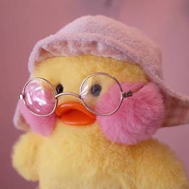 𝚙𝚘𝚙𝚙𝚢 ˚ ༘♡🎀🐽 ꒱ มะมี๊พิเคอ 🍼 tweet media