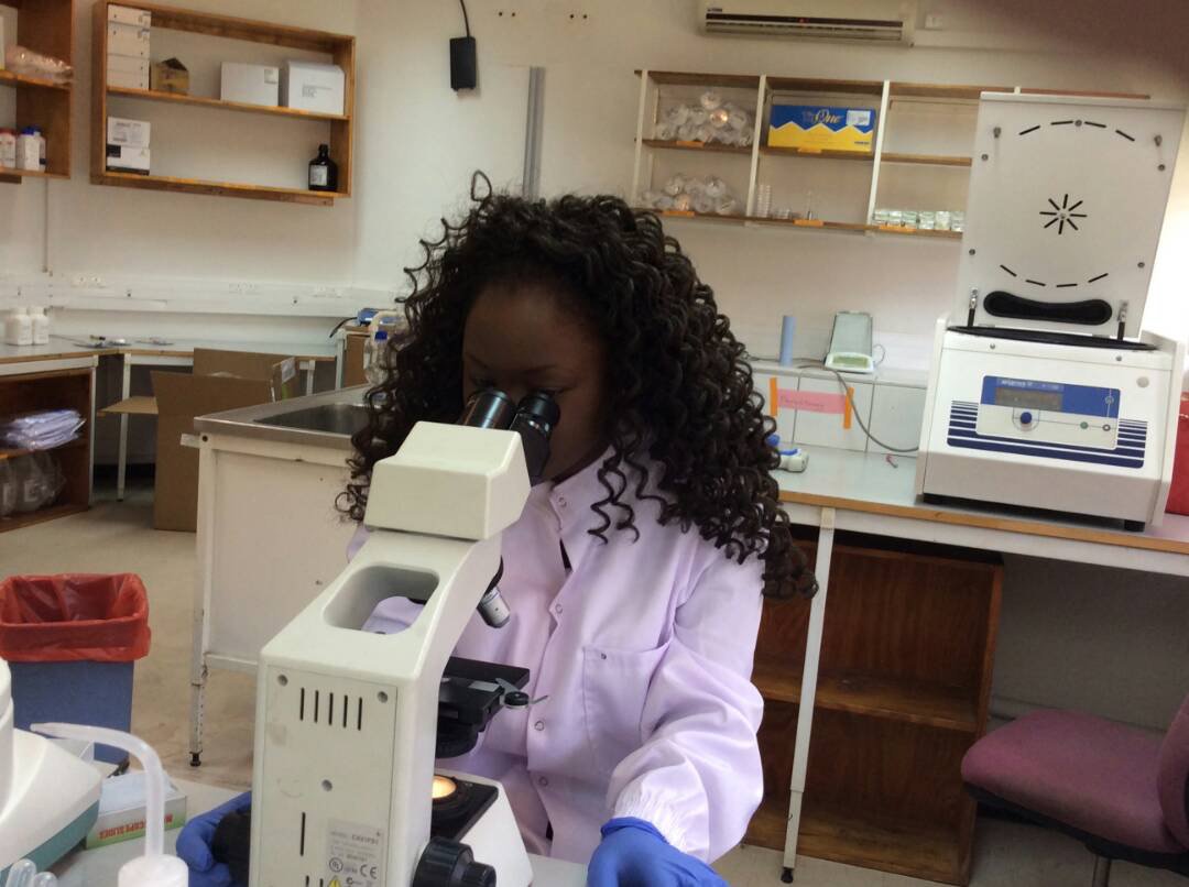 Our report reflects on how we've worked on promoting gender equality through improved monitoring, capacity building and research partnerships. Find out more: bit.ly/2Ae75E9