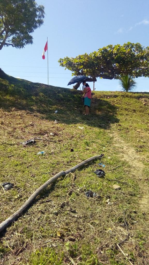 Brei1712's tweet photo. Un domingo de paseo https://t.co/dzvxgeViSw