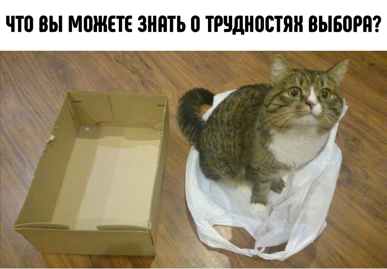 Сложный выбор Сложный выбор
