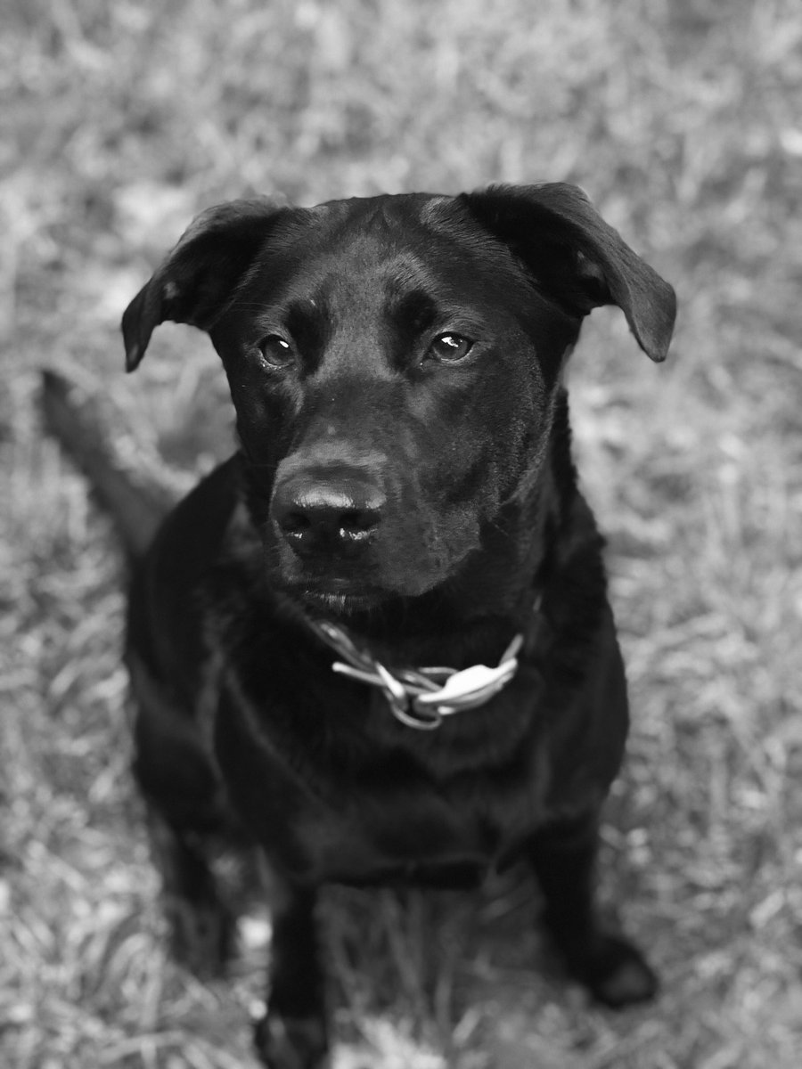 Sarah (Rozier) Flaim (@sarahrozier) | Twitter