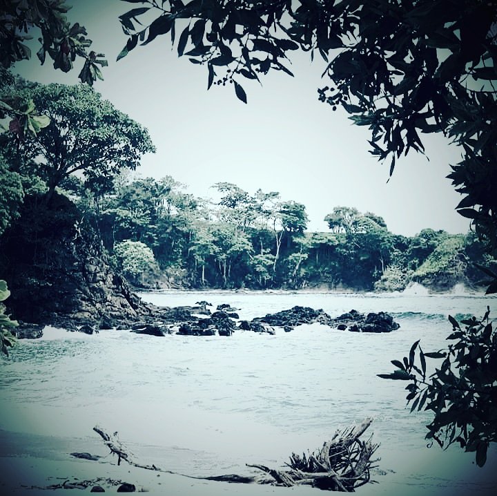 camalutravel's tweet photo. #tuesdayvibes #beach #clinicday #puravida #volunteers #new #time #week #jungle #vacation #pharmacy #housevisits #clinics #Medicalmissiontrips #CostaRica #Camalutravel #physician #nurse #premed #come #help #learn #travel #love #friend #experience #rainforest #team #share https://t.co/HUmdIa5o9o