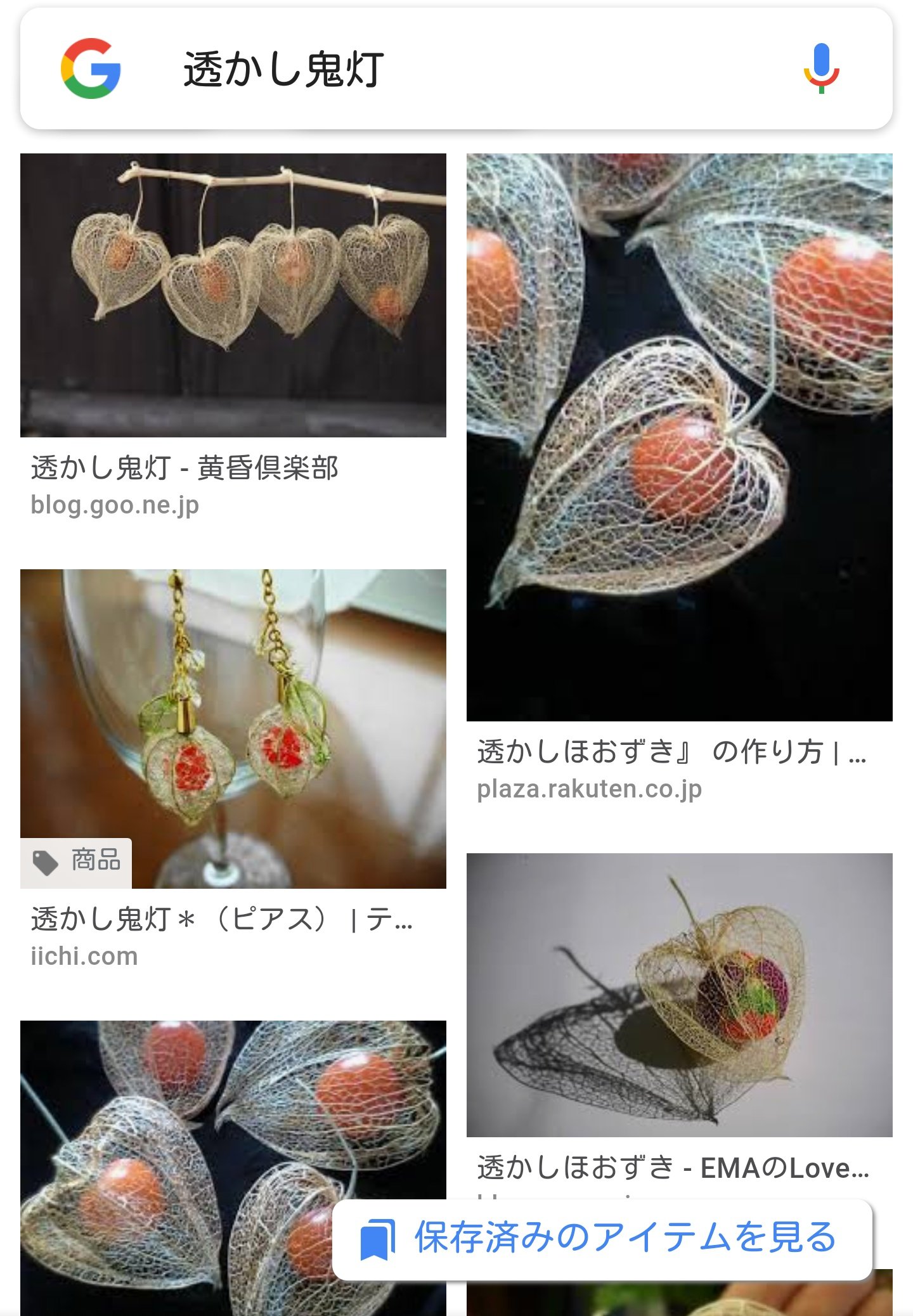 小松菜農家の娘 メモ 空気に触れないように水につける 葉脈が黒くなる 水は2 ３日に１回かえる 作るときの鬼灯は生がいい Twitter