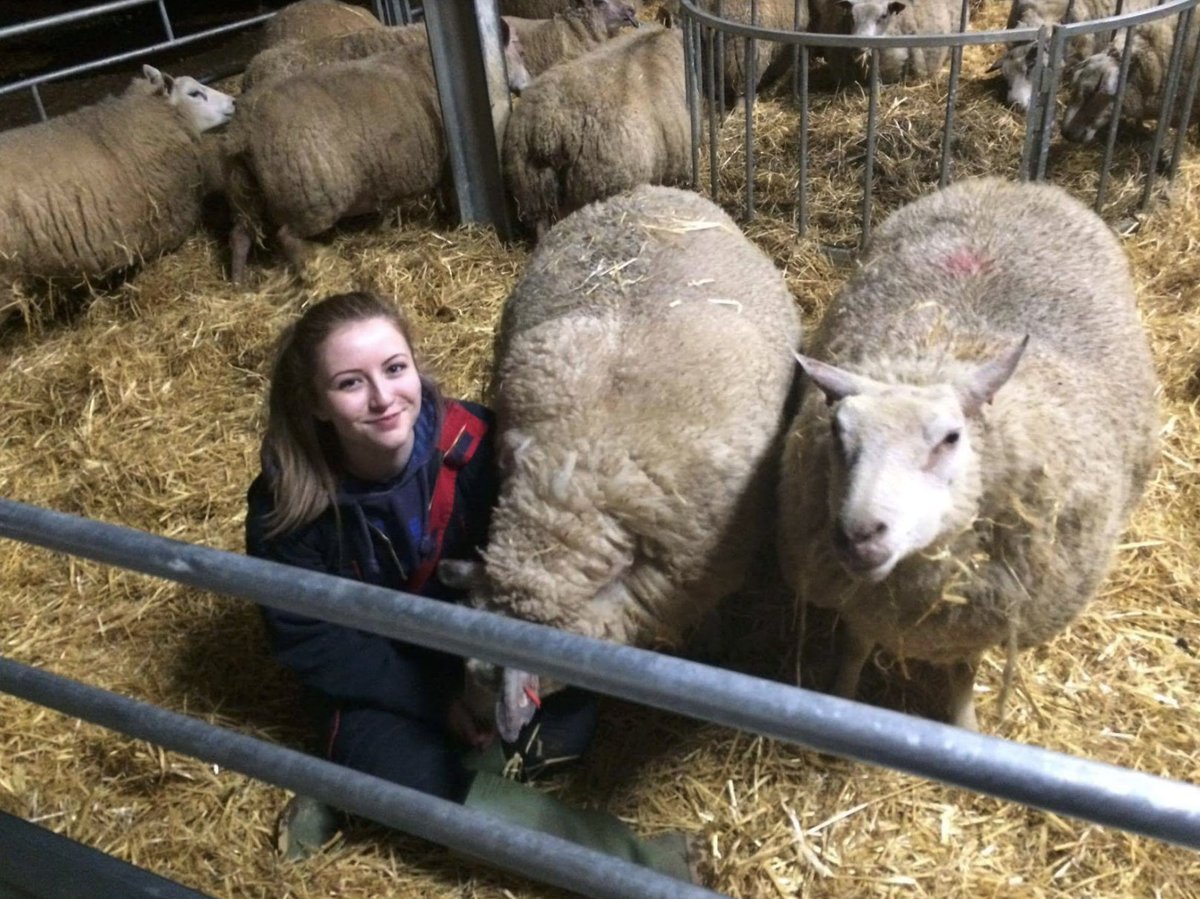 Savannah Storm tweet media