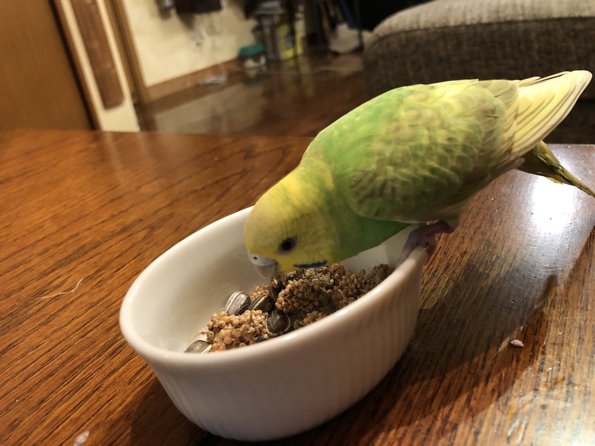 KEiJiROU tweet media