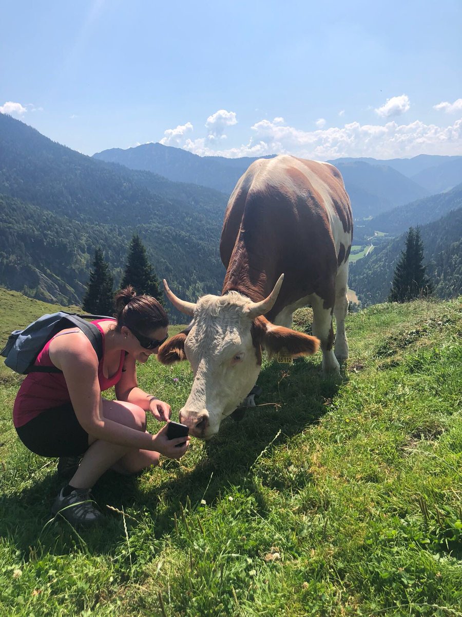 Steph_nCo's tweet photo. I tried to validate the theories on social network addictions 🤯📲developed in my professional thesis with cows but she never got addicted... 🤔 She seemed pretty interested though... 🤓🐮⛰🙃🤣 #CompellingUX #MBAMCI #MaTheseInsolite #MaTheseCestCool #SocialNetworkAddiction https://t.co/SrzSNbJFWz