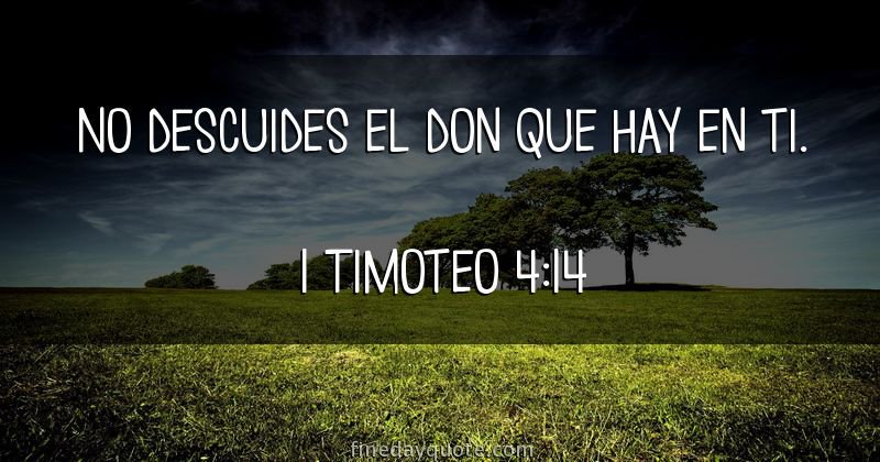 YamilethOtinian's tweet image. ✔Los dones se multiplican cuando los usamos para servir a los demás. #rpsp #1Tim4 #PrimeroDios