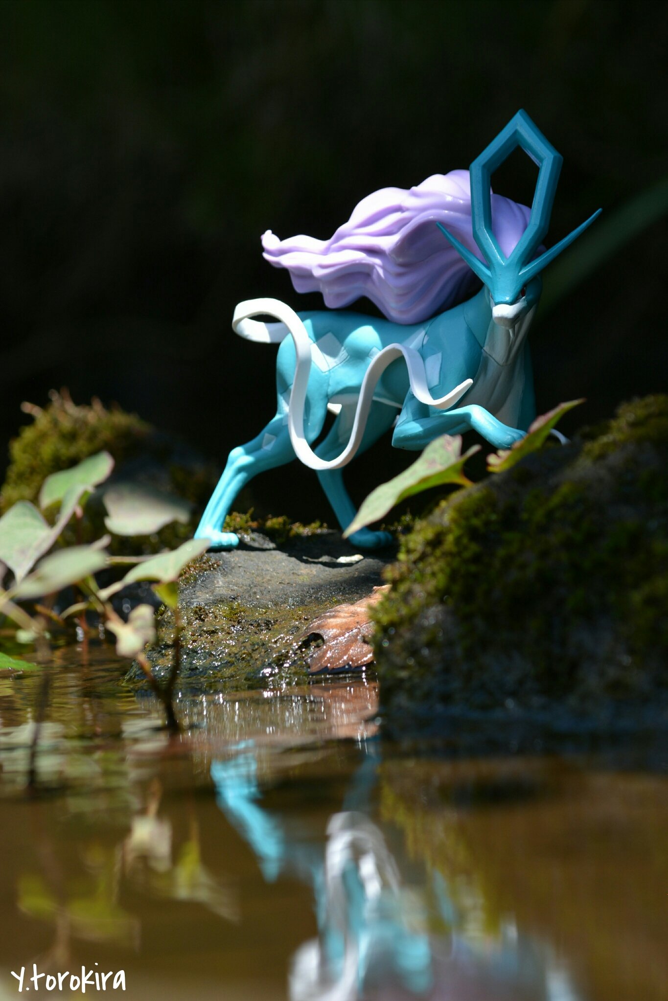 ぱる姉 Pa Twitter きよらかであるように スイクン リアルポケモンスナップ ポケモン写真 ポケモン撮影 ポケモン Pokemon ぱる姉 Pa Twitter きよらかであるように スイクン リアルポケモンスナップ ポケモン写真 ポケモン撮影 ポケモン Pokemon