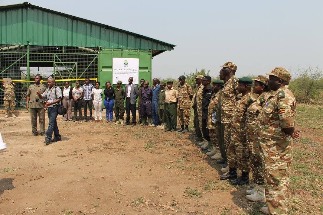 RAK Safaris UGANDA on Twitter "wedelight in our Power Rangers 