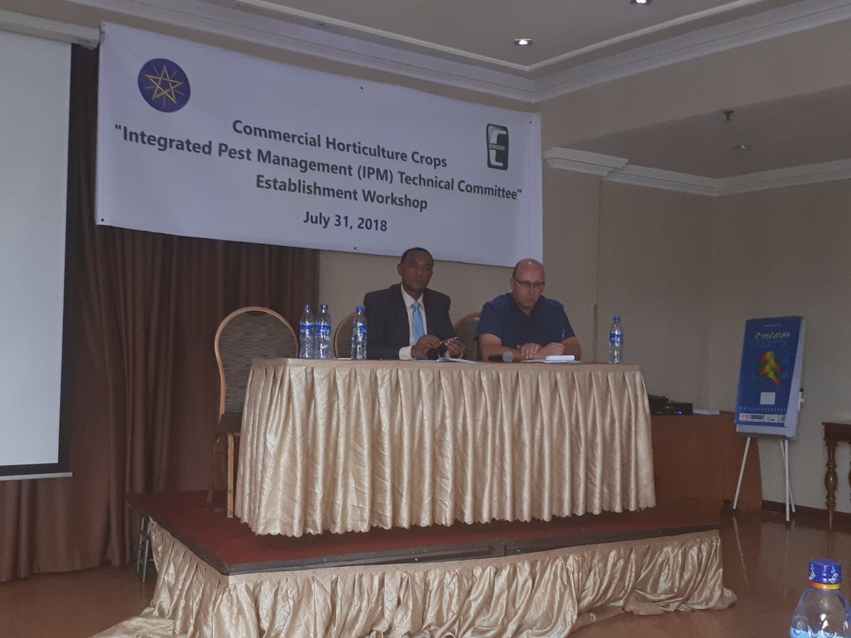 AgriEthiopia's tweet photo. Workshop on IPM technical committee establishment for commercial horti-crops #EHPEA #EHAIA. support of @AgriEthiopia. @NLinEthiopia https://t.co/5x4xk1AxAP